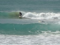 Le surf à Lorne